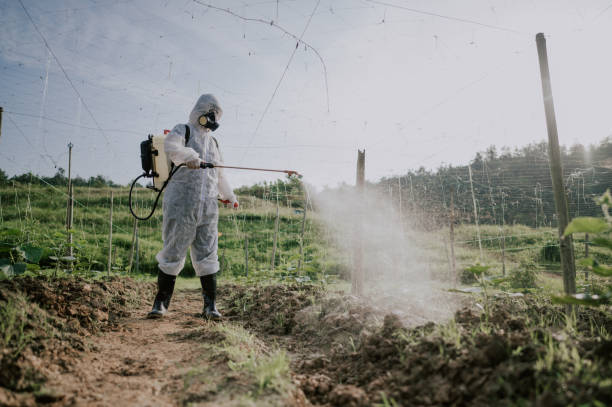 Best Best Pest Control Companies  in Charleroi, PA