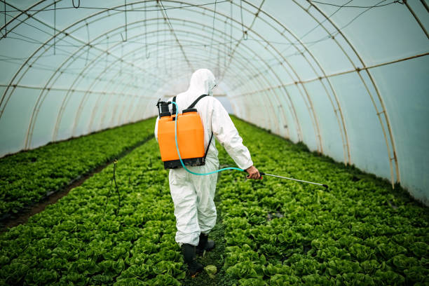 Professional Pest Control in Charleroi, PA
