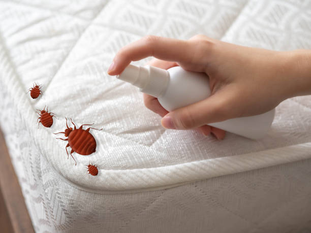 Best Affordable Pest Control Services  in Charleroi, PA