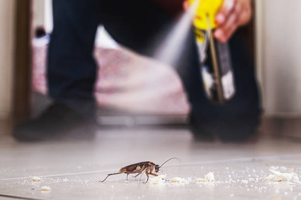 Wildlife Control Services in Charleroi, PA